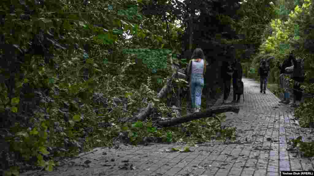 Много упавших деревьев и веток в сквере имени Папанина