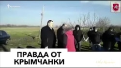 Крымчане против строительства китайских теплиц (видео)