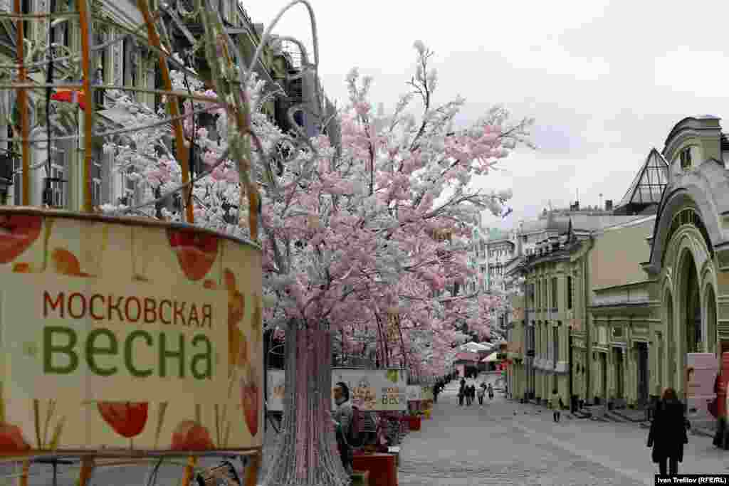 Кузнецкий мост. Пластиковая сакура